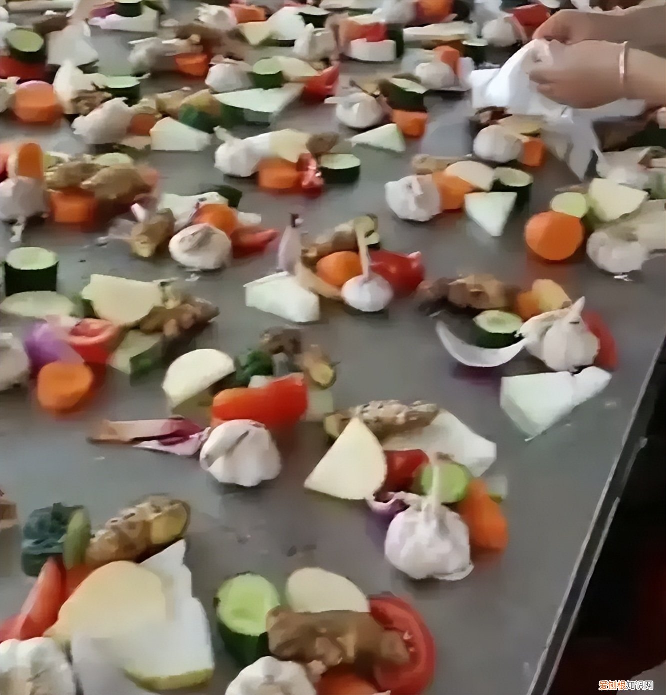 官方回应村民每人领3片菜叶1块猪肉，对于这样的做法网友表示：很公平！