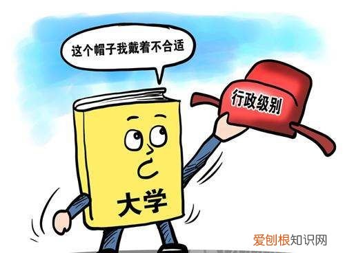 合肥市市长什么级别，合肥人防办行政级别是副局级吗