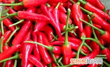 鱼籽火锅的做法，鱼籽鱼泡火锅的做法 湖南