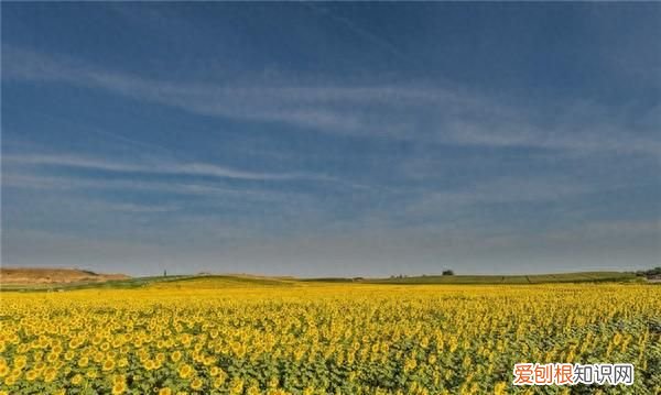 人生需要面对挫折的经典语录,励志经典语录挫折会来也会过去