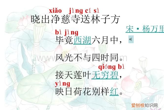 晓出净慈寺送林子方古诗意思