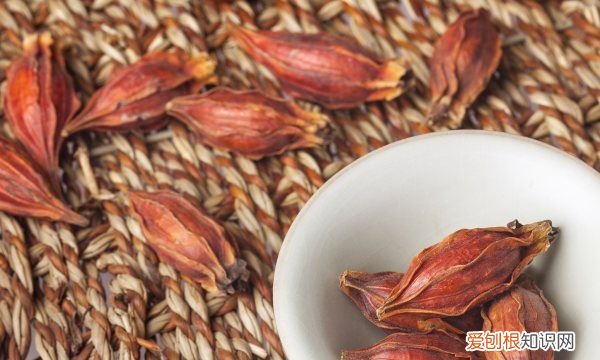 栀子可以经常泡水喝,栀子花可以泡水喝吗有什么功效