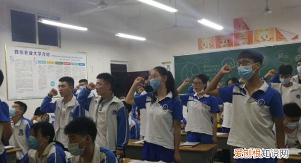 职高是什么文凭,职高属于什么学历