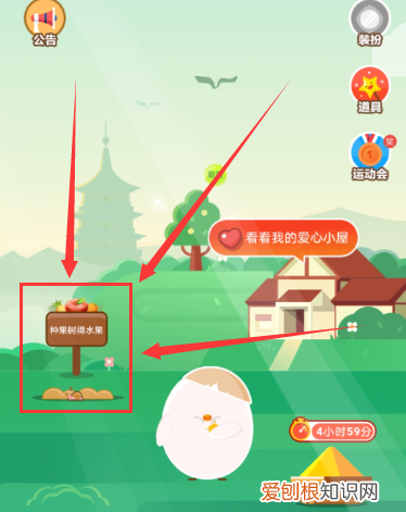 支付宝怎么开通芭芭农场,我的支付宝里为什么没有芭芭农场功能