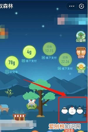 支付宝怎么开通芭芭农场,我的支付宝里为什么没有芭芭农场功能