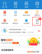 支付宝怎么开通芭芭农场，我的支付宝里为什么没有芭芭农场功能
