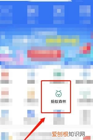 支付宝怎么开通芭芭农场,我的支付宝里为什么没有芭芭农场功能