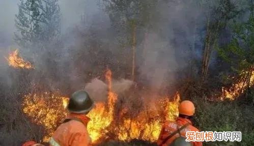 海南老人露天做饭被罚600元？村委承担