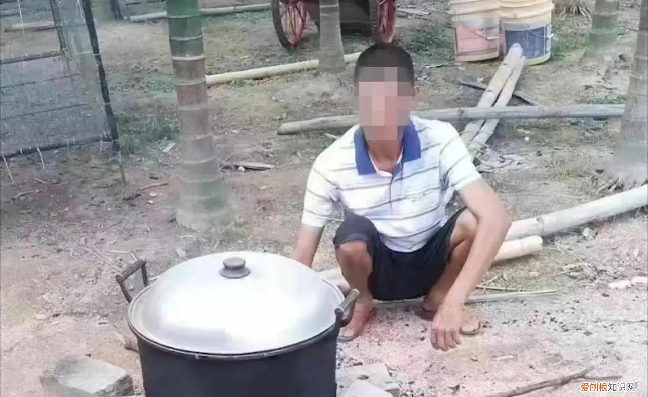 海南老人露天做饭被罚600元？村委承担