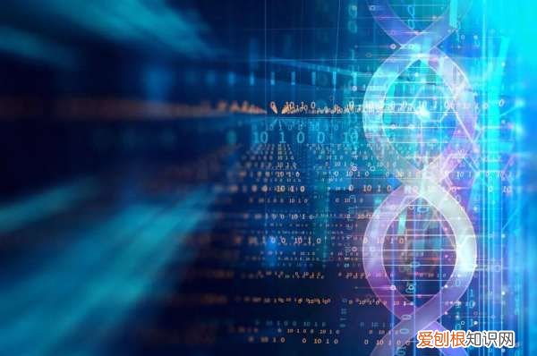 人的指甲的生长速度是多少,指甲平均每天生长多少毫米