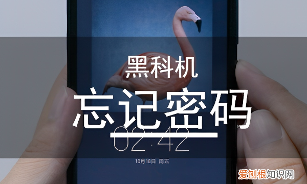 oppo手机如何直接刷掉密码