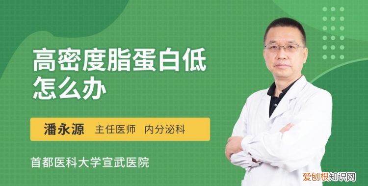 脂蛋白是什么,高密度脂蛋白是什么