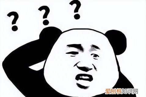 北京 野蛮生长教育咨询有限公司