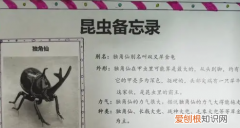 昆虫备忘录的中心思想是什么