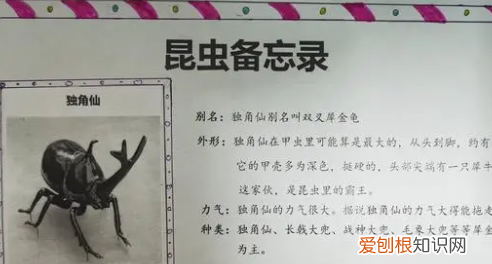 昆虫备忘录的中心思想是什么