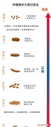 粪便的形态有什么，正常大便是什么形状的图片