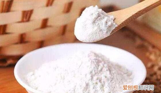 蓝猫母猫发腮,英短蓝猫几个月的时候可以喂什么能发腮