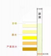 一天小便几次算正常，多久上一次小便算正常