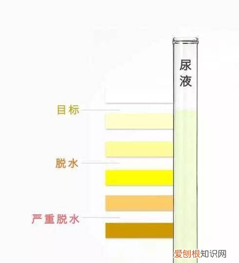 一天小便几次算正常，多久上一次小便算正常