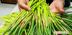 蒜苔尖能吃