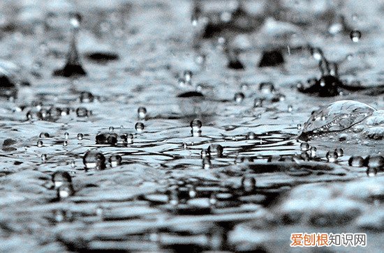 谷雨是哪天 谷雨是二十四节气中的第几个节气