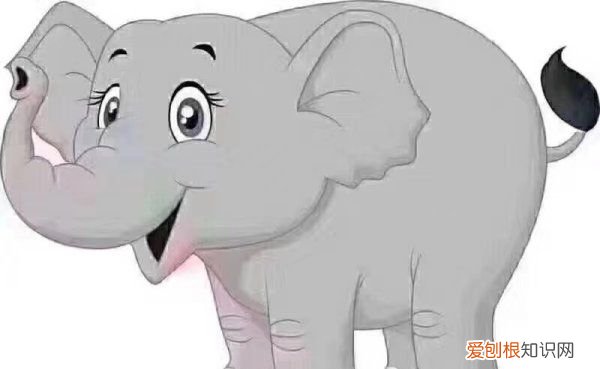 家里养四只猫正常，养猫咪是不是招财