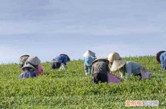 今年五一放几天假期2023 2023年5.1劳动节高速免费时间表