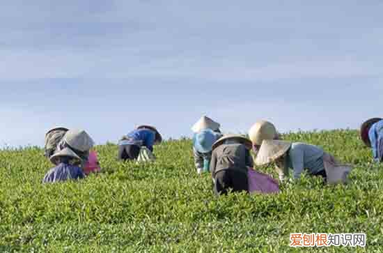 今年五一放几天假期2023 2023年5.1劳动节高速免费时间表