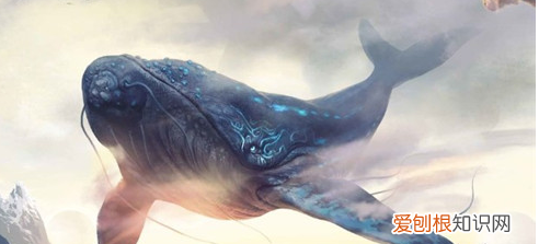 妄想山海官网开服时间表,妄想山海多余宠物蛋有什么用