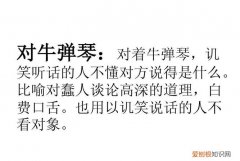 类似对牛弹琴的词语有哪些