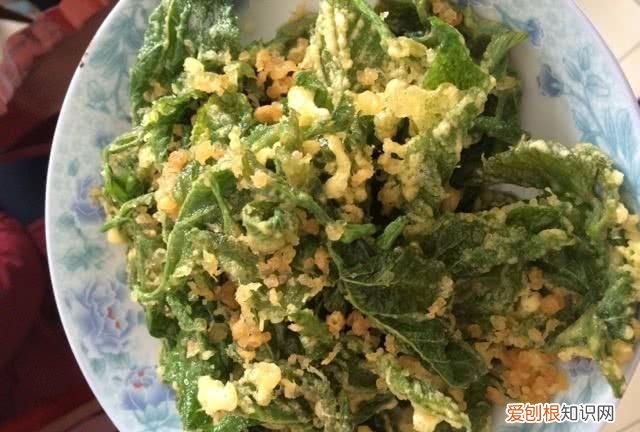 桑叶怎么做好吃,桑嫩芽怎么做好吃