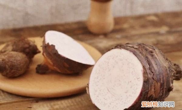 蒸芋头一般要蒸多久,芋头要蒸多久才能熟透呢