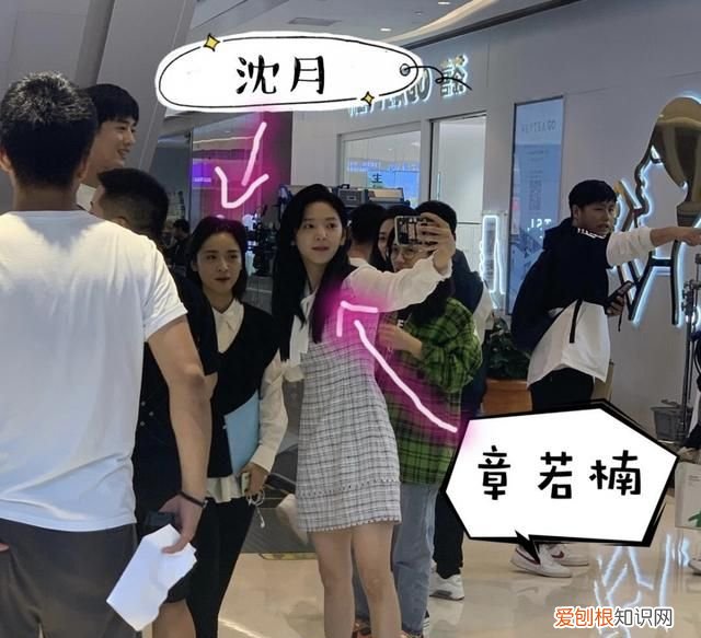 沈月和章若楠演了什么,沈月名气高还是章若楠名气高