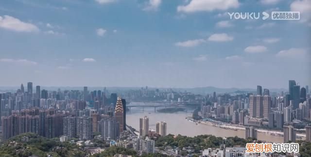 沈月和章若楠演了什么,沈月名气高还是章若楠名气高