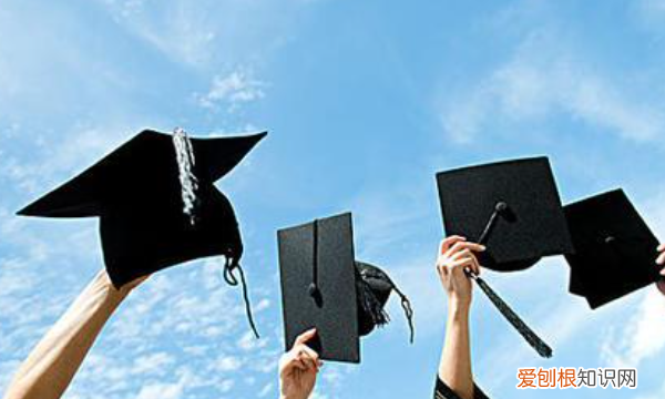 专业评级在哪查，教育部学科评估哪里可以看