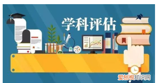 专业评级在哪查，教育部学科评估哪里可以看