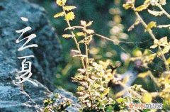 2023年立夏是什么时候 今年立夏时间是几月几号几点几分