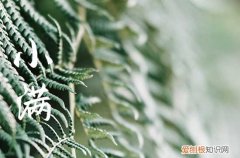 2023年小满是哪一天 2023年小满是几点几分几秒