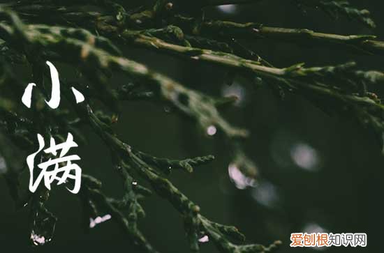 2023年小满是几月几号 2023年小满时间几点几分几秒