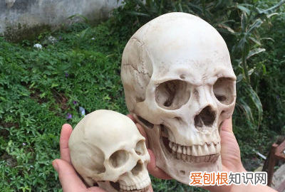 正常成年人头围多大，女生标准头围身高对照表