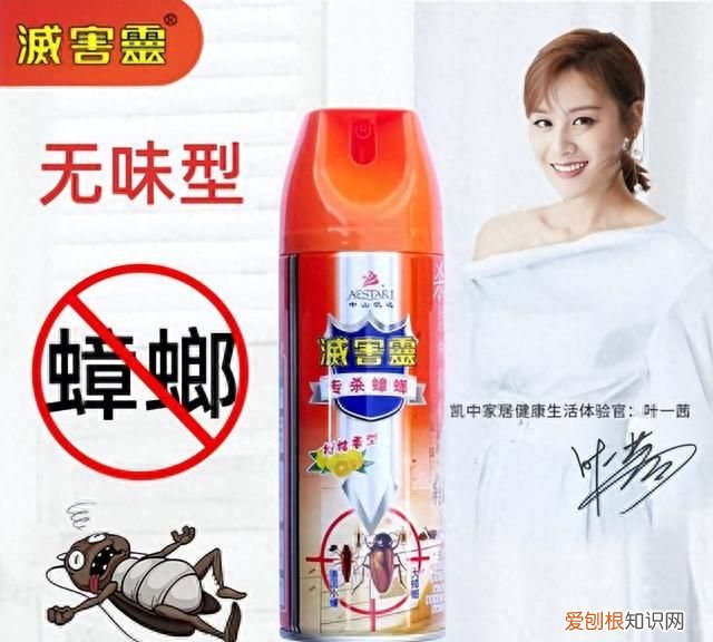 家里太多蟑螂了如何一招消灭蟑螂