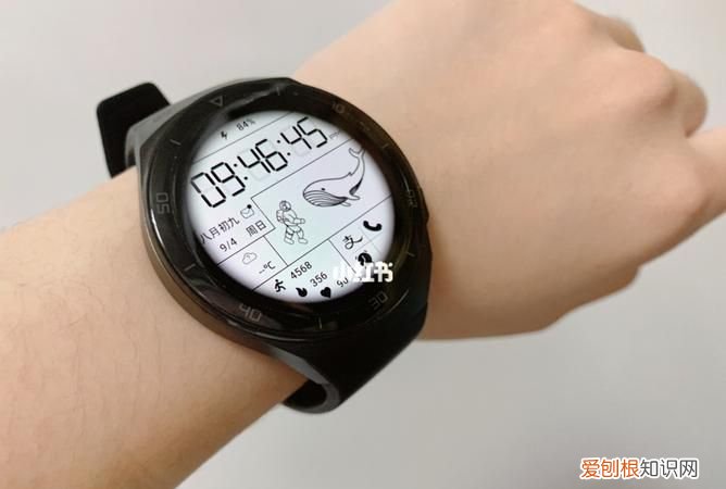 gt2e和GT2区别,gt2e和gt3充电器通用