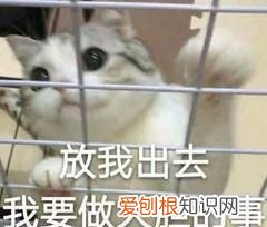 vivo手机又出新黑科技了 关于vivo手机的黑科技功能