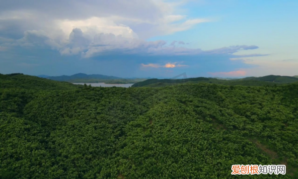 钟灵毓秀的意思