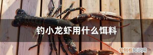 用什么钓小龙虾,小龙虾拿什么钓最好