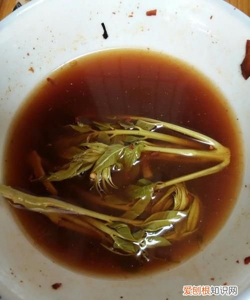 生香椿凉拌可以吃，凉拌香椿的做法最简单