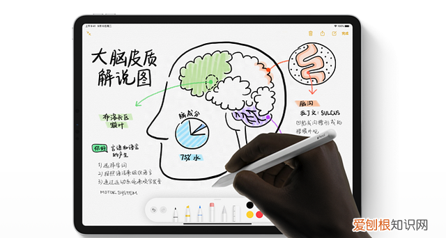 官网买的ipadpro有哪些配件