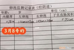 监测排卵从第几天开始，月经干净第几天去测卵泡检测更合适