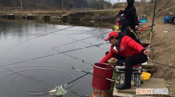 钓鱼有必要用防缠豆