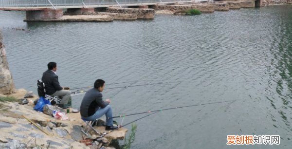 钓鱼有必要用防缠豆